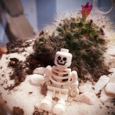 Decoration cabinet ostéopathie - Ostéopathe à Castres