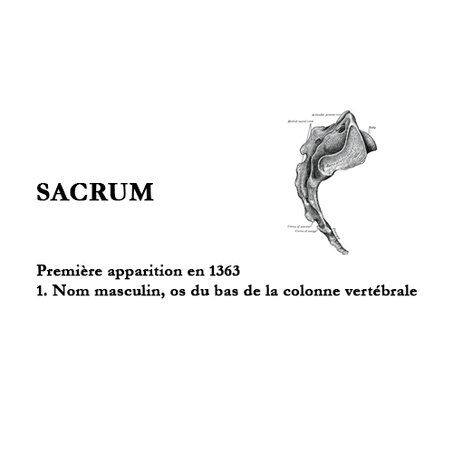L’origine des mots: « Sacrum »