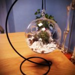 Cabinet d'ostéopathie à castres, un squelette dans le desert.