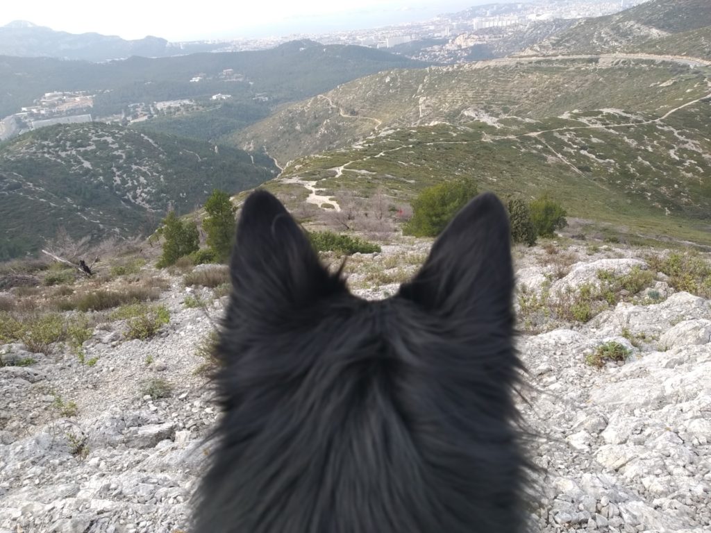 Fêtes de fin d&rsquo;année 2019